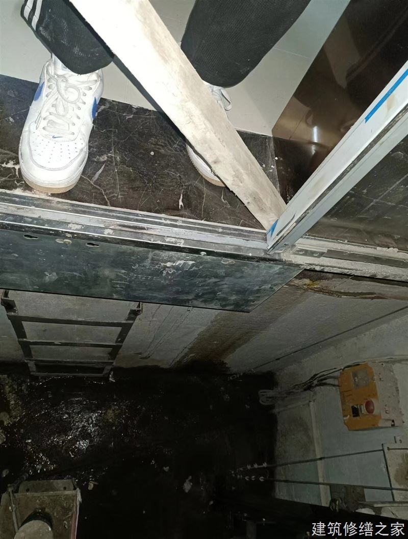 肇庆2026鼎湖区 防水材料 本地正规服务商家
